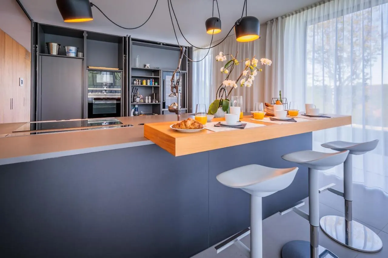 Luxury Villa Rubin With Jacuzzi Pool Gym & Spa Near Venice And Padua Arzergrande 0*,  Italy