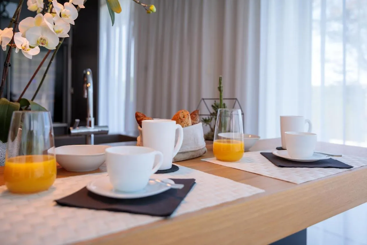Luxury Villa Rubin With Jacuzzi Pool Gym & Spa Near Venice And Padua Arzergrande