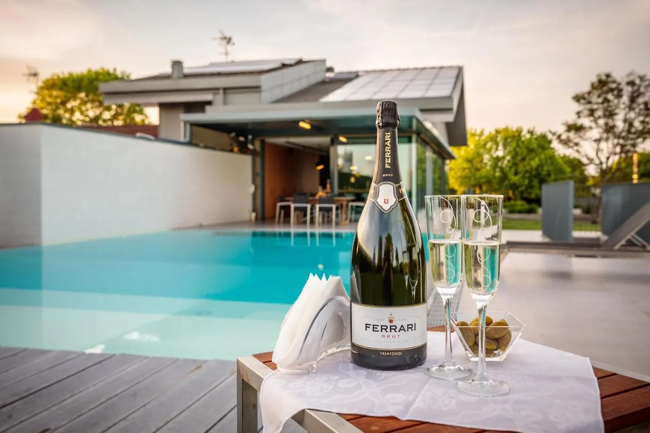 Luxury Villa Rubin With Jacuzzi Pool Gym & Spa Near Venice And Padua Arzergrande 0*,  Italy